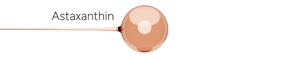 Feature 1 Image 2