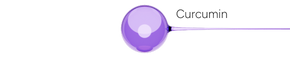Feature 1 Image 3