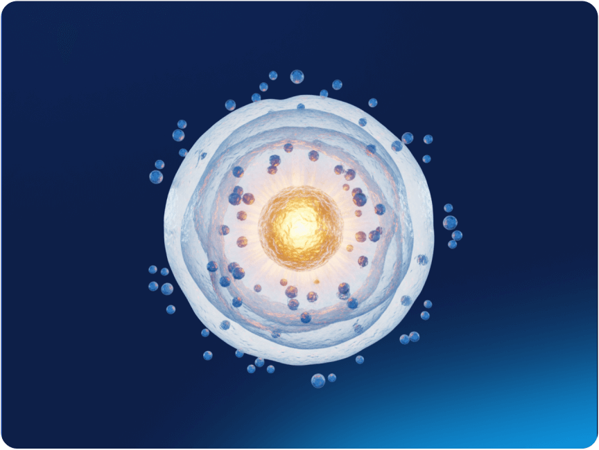 Resveratrol